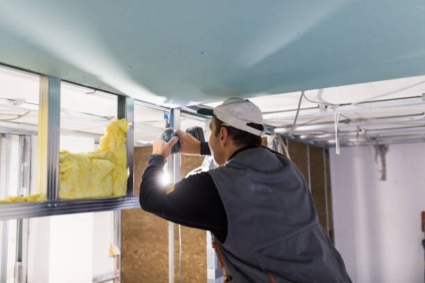 Best Types of Insulation in Hazel Park, MI