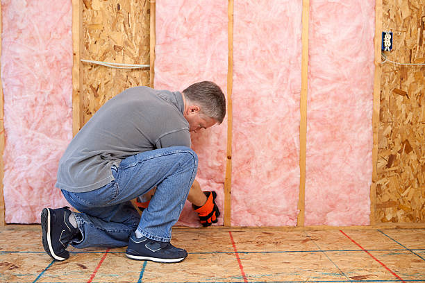 Best Insulation Installation Services in Hazel Park, MI